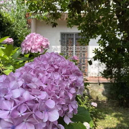 Dei Marmi With Large Private Garden, Near The Prázdninový dům